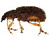  ( - BIOUG01144-A05)  @14 [ ] CreativeCommons - Attribution (2011) CBG Photography Group Centre for Biodiversity Genomics