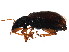  ( - BIOUG01144-A07)  @13 [ ] CreativeCommons - Attribution (2011) CBG Photography Group Centre for Biodiversity Genomics