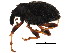 ( - BIOUG01144-A08)  @11 [ ] CreativeCommons - Attribution (2011) CBG Photography Group Centre for Biodiversity Genomics