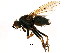  ( - BIOUG00992-C10)  @13 [ ] CreativeCommons - Attribution (2011) CBG Photography Group Centre for Biodiversity Genomics