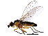  ( - BIOUG01307-E06)  @13 [ ] CreativeCommons - Attribution (2011) CBG Photography Group Centre for Biodiversity Genomics