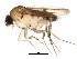  ( - BIOUG01307-H07)  @13 [ ] CreativeCommons - Attribution (2011) CBG Photography Group Centre for Biodiversity Genomics