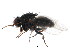  ( - BIOUG01338-G01)  @13 [ ] CreativeCommons - Attribution (2011) CBG Photography Group Centre for Biodiversity Genomics