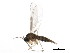  ( - BIOUG01343-E01)  @12 [ ] CreativeCommons - Attribution (2011) CBG Photography Group Centre for Biodiversity Genomics