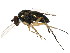  ( - BIOUG01344-C05)  @13 [ ] CreativeCommons - Attribution (2011) CBG Photography Group Centre for Biodiversity Genomics