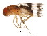  ( - BIOUG01344-F03)  @13 [ ] CreativeCommons - Attribution (2011) CBG Photography Group Centre for Biodiversity Genomics