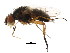  ( - BIOUG01344-G12)  @13 [ ] CreativeCommons - Attribution (2011) CBG Photography Group Centre for Biodiversity Genomics