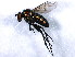  ( - BIOUG01347-B08)  @13 [ ] CreativeCommons - Attribution (2011) CBG Photography Group Centre for Biodiversity Genomics