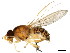  ( - BIOUG01347-E03)  @13 [ ] CreativeCommons - Attribution (2011) CBG Photography Group Centre for Biodiversity Genomics