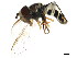  ( - BIOUG01347-F08)  @12 [ ] CreativeCommons - Attribution (2011) CBG Photography Group Centre for Biodiversity Genomics