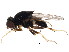  ( - BIOUG01348-H03)  @13 [ ] CreativeCommons - Attribution (2011) CBG Photography Group Centre for Biodiversity Genomics