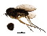  ( - BIOUG01349-C11)  @12 [ ] CreativeCommons - Attribution (2011) CBG Photography Group Centre for Biodiversity Genomics