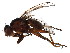  ( - BIOUG01349-G05)  @13 [ ] CreativeCommons - Attribution (2011) CBG Photography Group Centre for Biodiversity Genomics