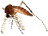 ( - BIOUG01349-H05)  @13 [ ] CreativeCommons - Attribution (2011) CBG Photography Group Centre for Biodiversity Genomics
