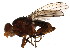  ( - BIOUG01349-H08)  @13 [ ] CreativeCommons - Attribution (2011) CBG Photography Group Centre for Biodiversity Genomics