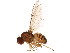  ( - BIOUG01352-B02)  @15 [ ] CreativeCommons - Attribution (2011) CBG Photography Group Centre for Biodiversity Genomics