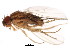 ( - BIOUG01389-C01)  @12 [ ] CreativeCommons - Attribution (2012) CBG Photography Group Centre for Biodiversity Genomics