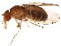  ( - BIOUG01389-C03)  @12 [ ] CreativeCommons - Attribution (2012) CBG Photography Group Centre for Biodiversity Genomics