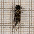  ( - LVHOMED58)  @11 [ ] CreativeCommons - Attribution Share-Alike (2021) Unspecified URZF Unite de Recherche Zoologie Forestiere INRA