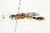 ( - PHFLO-0114)  @12 [ ] CreativeCommons - Attribution (2011) CBG Photography Group Centre for Biodiversity Genomics