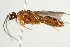  ( - PHFLO-0117)  @13 [ ] CreativeCommons - Attribution (2011) CBG Photography Group Centre for Biodiversity Genomics