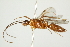  ( - PHFLO-0121)  @13 [ ] CreativeCommons - Attribution (2011) CBG Photography Group Centre for Biodiversity Genomics