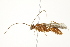  ( - PHFLO-0122)  @13 [ ] CreativeCommons - Attribution (2011) CBG Photography Group Centre for Biodiversity Genomics