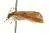  ( - PHFLO-0084)  @13 [ ] CreativeCommons - Attribution (2010) CBG Photography Group Centre for Biodiversity Genomics