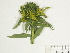  ( - BIOUG85754-B07)  @11 [ ] CreativeCommons - Attribution (2022) CBG Photography Group Centre for Biodiversity Genomics