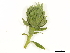  ( - BIOUG85756-B07)  @11 [ ] CreativeCommons - Attribution (2022) CBG Photography Group Centre for Biodiversity Genomics