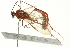  ( - BIOUG02951-B10)  @14 [ ] CreativeCommons - Attribution (2012) CBG Photography Group Centre for Biodiversity Genomics