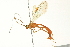  ( - BIOUG02951-D05)  @14 [ ] CreativeCommons - Attribution (2012) CBG Photography Group Centre for Biodiversity Genomics