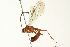  ( - BIOUG02951-D09)  @14 [ ] CreativeCommons - Attribution (2012) CBG Photography Group Centre for Biodiversity Genomics