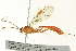  ( - BIOUG02951-G03)  @14 [ ] CreativeCommons - Attribution (2012) CBG Photography Group Centre for Biodiversity Genomics