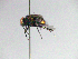  ( - MACN-EN-33443)  @11 [ ] Copyright (2019) MACN Museo Argentino de Ciencias Naturales "Bernardino Rivadavia"