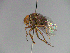  ( - MACN-EN-33445)  @11 [ ] Copyright (2019) MACN Museo Argentino de Ciencias Naturales "Bernardino Rivadavia"