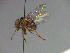  ( - MACN-EN-33446)  @11 [ ] Copyright (2019) MACN Museo Argentino de Ciencias Naturales "Bernardino Rivadavia"