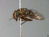  ( - MACN-EN-33686)  @11 [ ] Copyright (2019) MACN Museo Argentino de Ciencias Naturales "Bernardino Rivadavia"