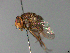 ( - MACN-EN-33690)  @11 [ ] Copyright (2019) MACN Museo Argentino de Ciencias Naturales "Bernardino Rivadavia"