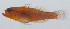  ( - PIL-247)  @11 [ ] CreativeCommons  Attribution Non-Commercial (by-nc) (2014) Unspecified Smithsonian Institution National Museum of Natural History