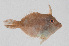  ( - PIL-409)  @11 [ ] CreativeCommons  Attribution Non-Commercial (by-nc) (2014) Unspecified Smithsonian Institution National Museum of Natural History