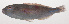  ( - VIS-044)  @11 [ ] CreativeCommons  Attribution Non-Commercial (by-nc) (2015) Unspecified Smithsonian Institution National Museum of Natural History
