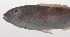  ( - VIS-044)  @11 [ ] CreativeCommons  Attribution Non-Commercial (by-nc) (2015) Unspecified Smithsonian Institution National Museum of Natural History