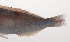 ( - VIS-044)  @11 [ ] CreativeCommons  Attribution Non-Commercial (by-nc) (2015) Unspecified Smithsonian Institution National Museum of Natural History