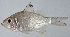  ( - PI-0430)  @11 [ ] CreativeCommons  Attribution Non-Commercial (by-nc) (2011) Unspecified Smithsonian Institution National Museum of Natural History