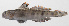  ( - PHI-401)  @11 [ ] CreativeCommons  Attribution Non-Commercial (by-nc) (2013) Unspecified Smithsonian Institution National Museum of Natural History