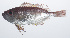  ( - PIL-053)  @11 [ ] CreativeCommons  Attribution Non-Commercial (by-nc) (2014) Unspecified Smithsonian Institution National Museum of Natural History