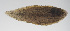  ( - PHISH-291)  @11 [ ] CreativeCommons  Attribution Non-Commercial (by-nc) (2016) Unspecified Smithsonian Institution National Museum of Natural History