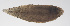  ( - PHISH-293)  @11 [ ] CreativeCommons  Attribution Non-Commercial (by-nc) (2016) Unspecified Smithsonian Institution National Museum of Natural History