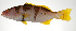  ( - PI-0161)  @11 [ ] CreativeCommons  Attribution Non-Commercial (by-nc) (2011) Unspecified Smithsonian Institution National Museum of Natural History